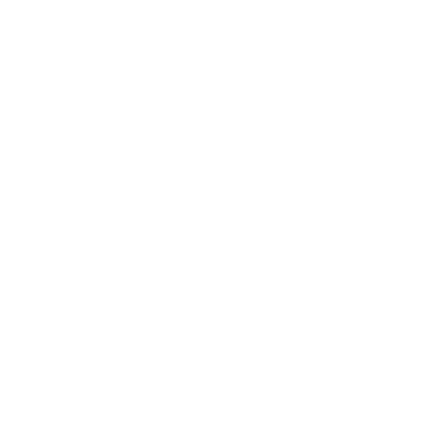 Aslan Özgül Logo